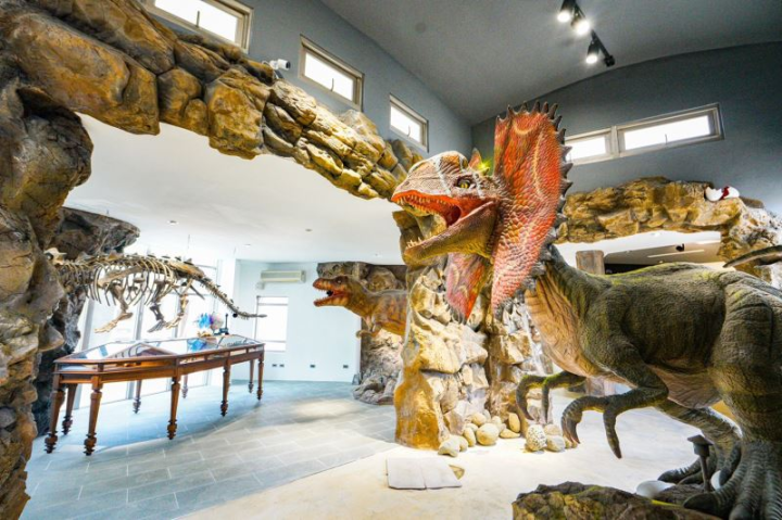 Xiaomen Geology Gallery